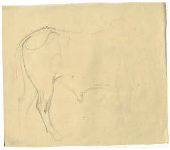 Visualizza l'immagine "FD D 146"